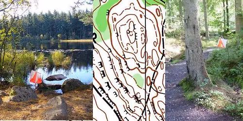 Orienteering in Dalbeattie Town Wood