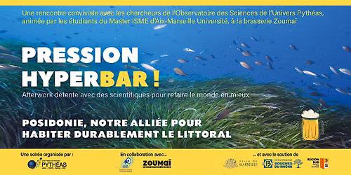 Posidonie, notre allie\u0301e pour habiter durablement le littoral