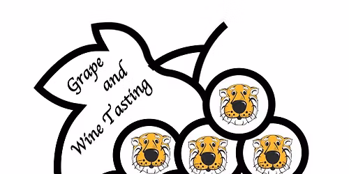 Mizzou Game Day Roar and Pour