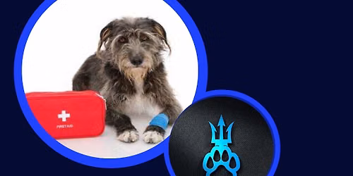 Canine Level 2 First Aid Course