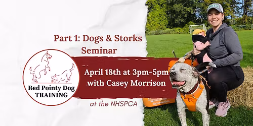 Dogs & Storks Seminar