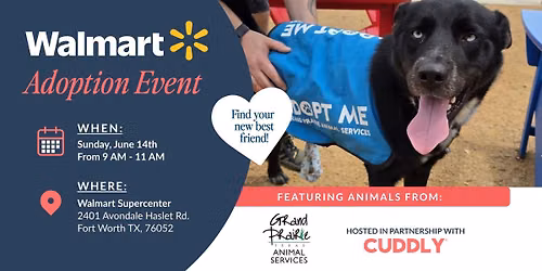 Walmart Adoption Event | Fort Worth, TX
