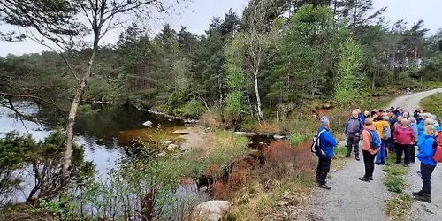 Kosekveld p\u00e5 Kysttunet, Eikeland i Auklandshamn