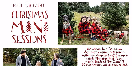 Studio christmas mini sessions