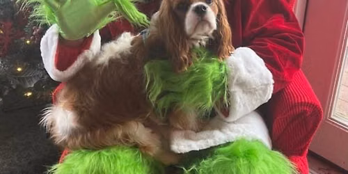 Free Grinch pix. Pet friendly \ud83d\udc36\ud83d\udc30\ud83e\udd9c\ud83d\udc07\ud83e\udda9\ud83d\udc15\u200d\ud83e\uddba\ud83e\udda8