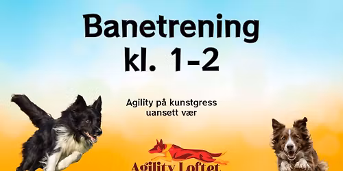 FULLT\u2763\ufe0f Banetrening - agility klasse 1\u20132. Mai-juni