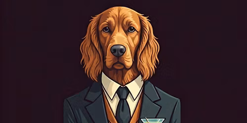 Leo Fron Live at The Stray Bar - Frankfort, IL 