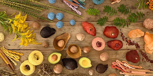 Introduction to Natural Dyeing Workshop, Mere, Wiltshire