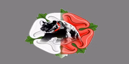 Tewkesbury Medieval Festival 