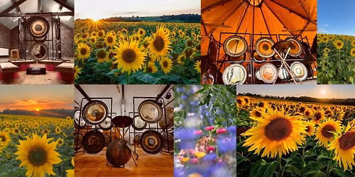 Gong Bath in the Sunflowers