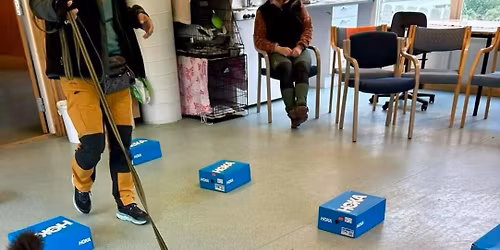 Konkurranserettet kurs i Nosework, klasse 1