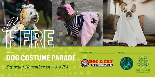 Dog Costume Parade at The Village at San Antonio Center