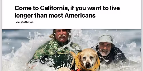 World Dog Surfing Championships - Volunteer Registration 2026