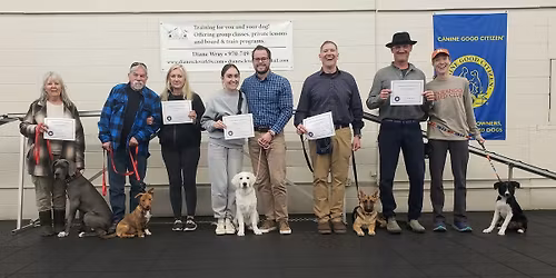 Puppy Classes at Creature Comforts