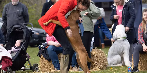Millets Farm Dog Show