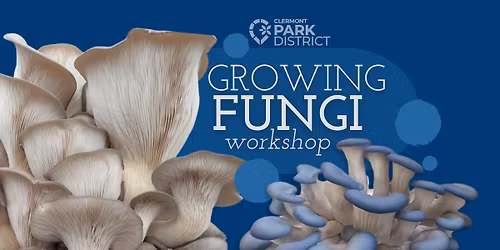 Growing Fungi Workshop