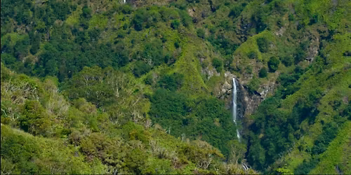 Waihe\u2018e Ridge Trail hike