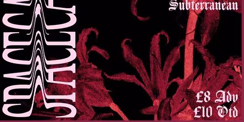 Spacecadetbloom\/\/Nadine Hurley\/\/Exit\/\/Subterranean