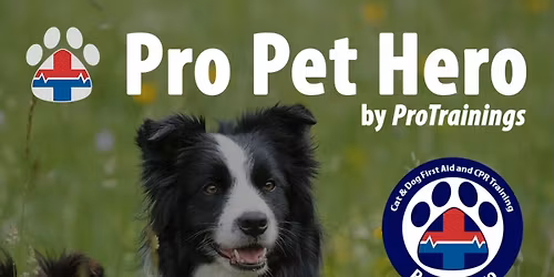 Pet CPR & First Aid Class - Clearwater Location