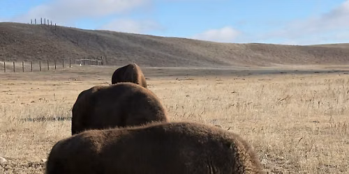 A Look at the Dust Bowl from a Geological and Ecological Perspective with Dan Northcut