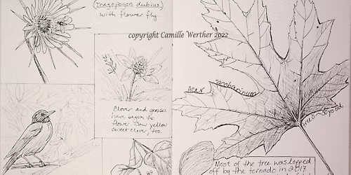 Botanical Sketchbooks