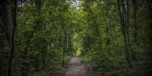 Forest Bathing at Kingman & Heritage Islands