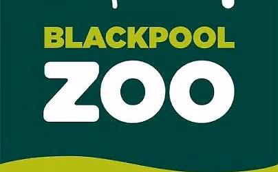 N-Vision Day out at Blackpool Zoo!