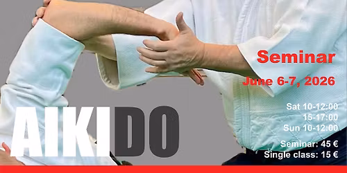 Aikido Seminar with Sandro Chiancone, 6th Dan Shidoin