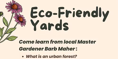 Eco-Friendly Yards