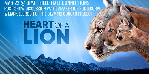 Field Hall Connections: Heart of a Lion