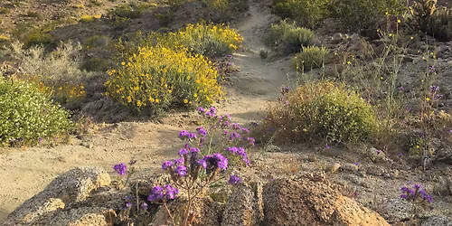 Randall Henderson Interpretative Hike