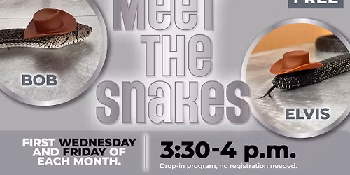 Meet the Snakes