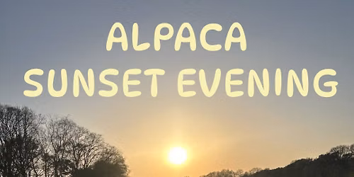 Lichfield- Alpaca Sunset Evening At Footherley Alpacas- Make New Friends Meet Up