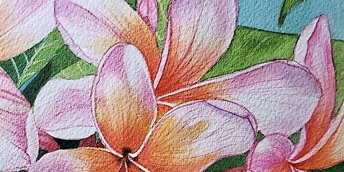 Plumeria Flowers in Watercolors