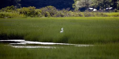Opening Weekend Celebration at Scarborough Marsh