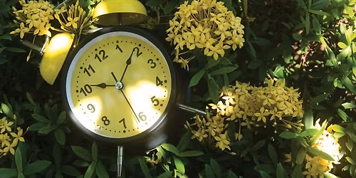 Haverhill Garden Club \u2013 End-of-Season Wrap-Up