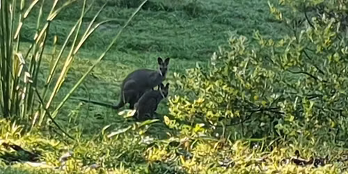 THE HEALER WIITHIN RETREATS 