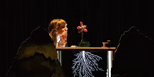 A Cornucopia Cabaret! by Emily Schubert