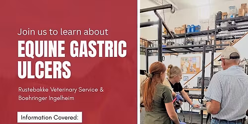 Equine Gastric Ulcer Dinner