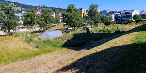 Chantier Participatif