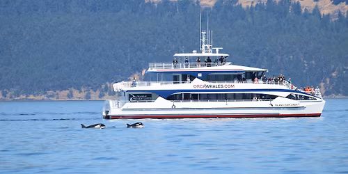 Island Adventures Full Day Whale Watching Tour   