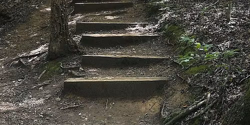 Hike Therapy by Zen & Juice