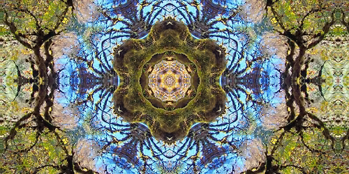 Sunset Society: Something for the Sun \u2600\ufe0f
