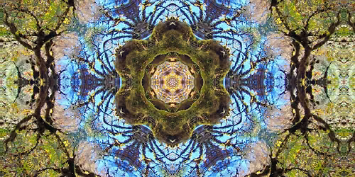 Sunset Society: Something for the Sun \u2600\ufe0f
