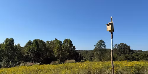 Guest Speaker - Alex Pellegrini, Farmland Raptor Coordinator