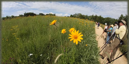 Beginner Nature Photography