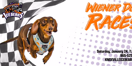 Wiener Dog Races at New Orleans Fairgrounds