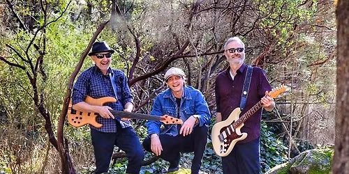 Sunday Night Jam w the Shufflenuts at the El Verano Inn, Sun, Jun 14th, 7p-10p