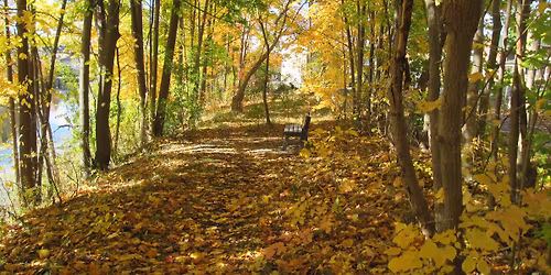 Podcasts \u2014 The New Radio