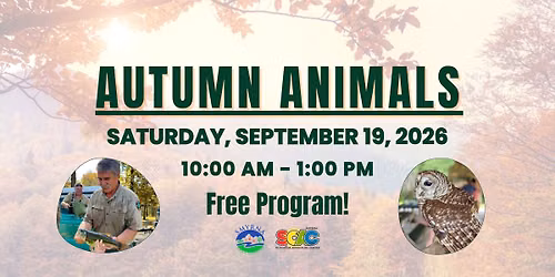 Autumn Animals